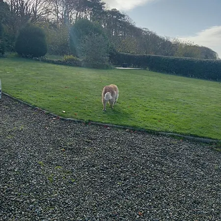 Larch Ruston Dog Friendly With Hot Tub Holiday home