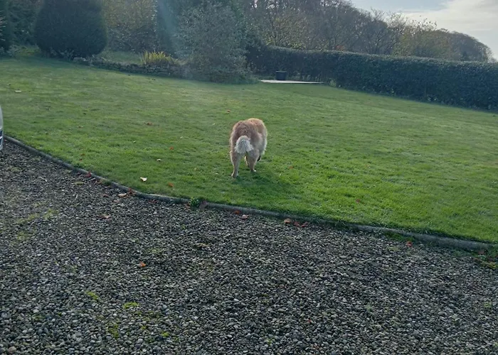 Larch Ruston With Hot Tub, Dogs Go Free 別荘